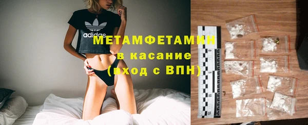 прущие грибы Богородск