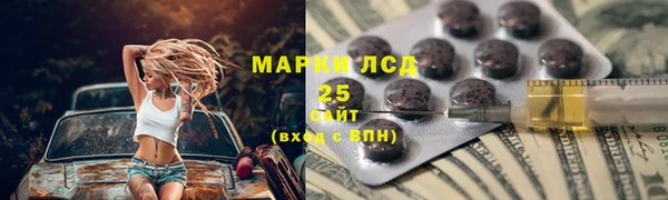 стафф Богданович
