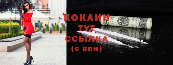 сатива Беломорск
