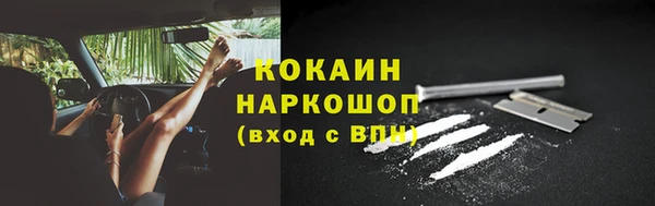 прущие грибы Богородск