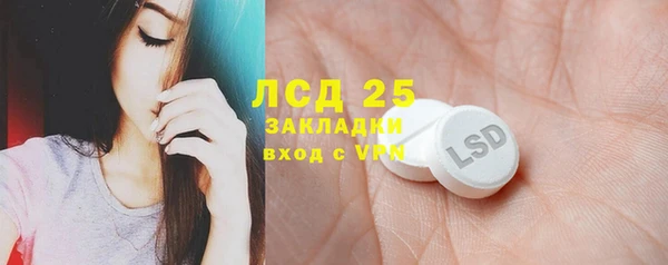 сатива Беломорск