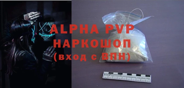 сатива Беломорск