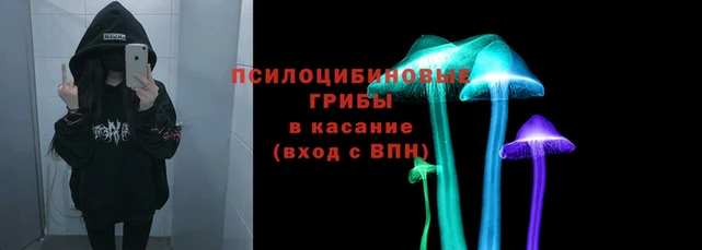 прущие грибы Богородск