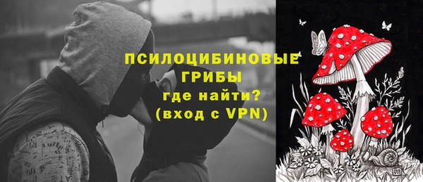 спайс Богородицк