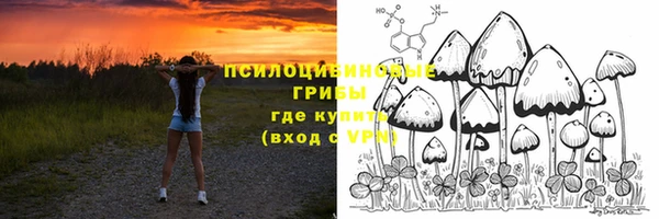 прущая мука Белоозёрский